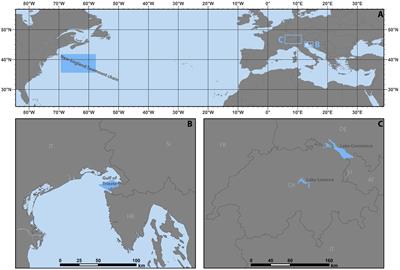 Not another hillshade: alternatives which improve visualizations of bathymetric data